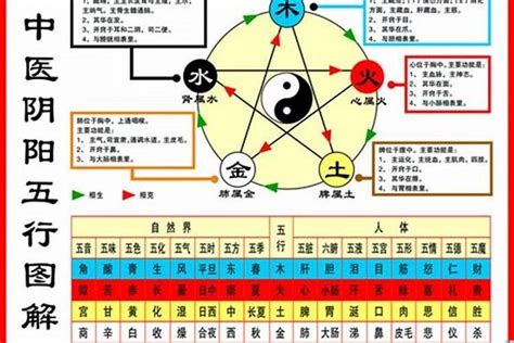 2020鼠年五行|2020年属鼠的五行是什么命，金鼠的性格特征